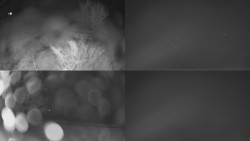 Sdružený snímek Bludný