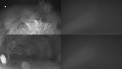 Sdružený snímek Bludný