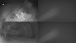 Sdružený snímek Bludný