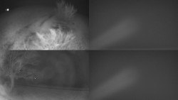 Sdružený snímek Bludný