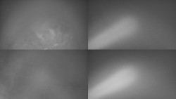 Sdružený snímek Bludný