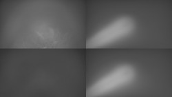 Sdružený snímek Bludný