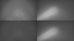 Sdružený snímek Bludný