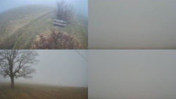 Sdružený snímek Bludný