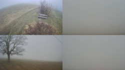 Sdružený snímek Bludný