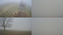 Sdružený snímek Bludný