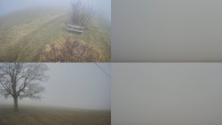 Sdružený snímek Bludný