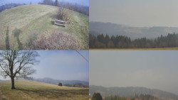 Sdružený snímek Bludný