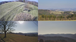 Sdružený snímek Bludný