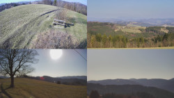 Sdružený snímek Bludný