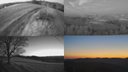 Sdružený snímek Bludný