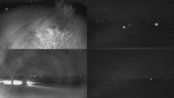 Sdružený snímek Bludný