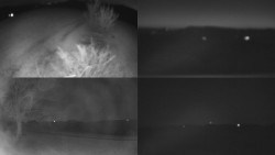 Sdružený snímek Bludný