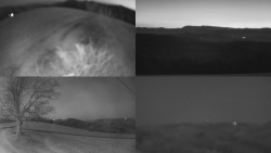 Sdružený snímek Bludný