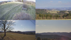 Sdružený snímek Bludný