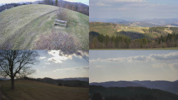 Sdružený snímek Bludný