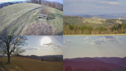 Sdružený snímek Bludný