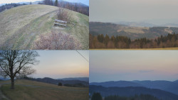 Sdružený snímek Bludný