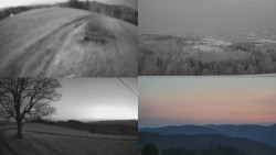 Sdružený snímek Bludný