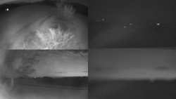 Sdružený snímek Bludný