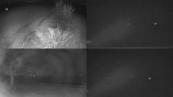 Sdružený snímek Bludný