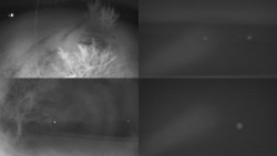 Sdružený snímek Bludný