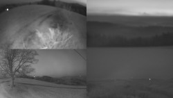 Sdružený snímek Bludný