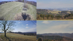 Sdružený snímek Bludný