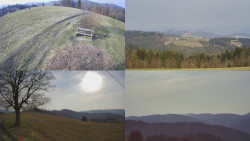 Sdružený snímek Bludný