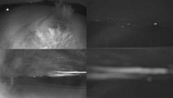 Sdružený snímek Bludný