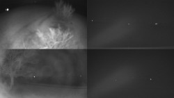 Sdružený snímek Bludný