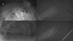 Sdružený snímek Bludný