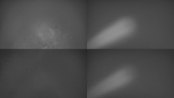 Sdružený snímek Bludný