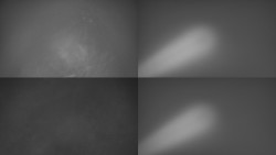 Sdružený snímek Bludný