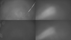 Sdružený snímek Bludný