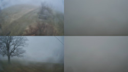 Sdružený snímek Bludný