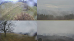 Sdružený snímek Bludný