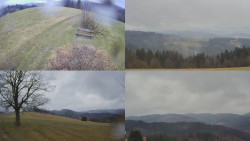 Sdružený snímek Bludný