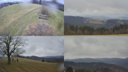 Sdružený snímek Bludný