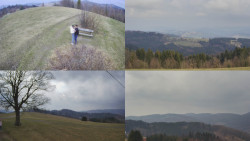 Sdružený snímek Bludný