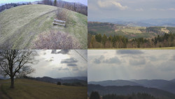 Sdružený snímek Bludný