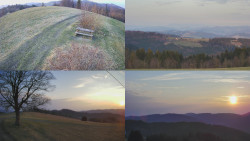 Sdružený snímek Bludný