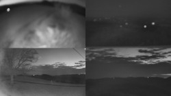 Sdružený snímek Bludný