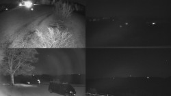 Sdružený snímek Bludný