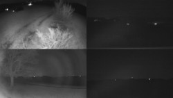 Sdružený snímek Bludný