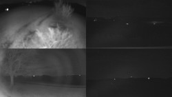 Sdružený snímek Bludný