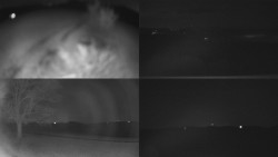 Sdružený snímek Bludný