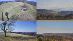 Sdružený snímek Bludný