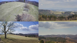 Sdružený snímek Bludný