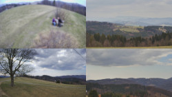 Sdružený snímek Bludný